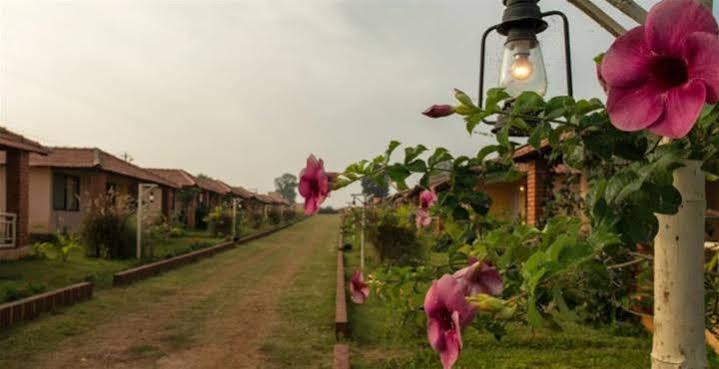 The Peepal Tree, Kabini Begur Екстер'єр фото